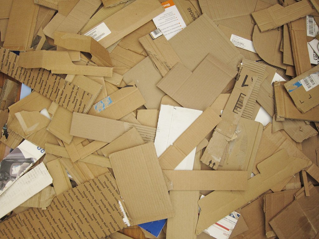 Cardboard